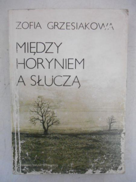 Między Horyniem a Słuczą