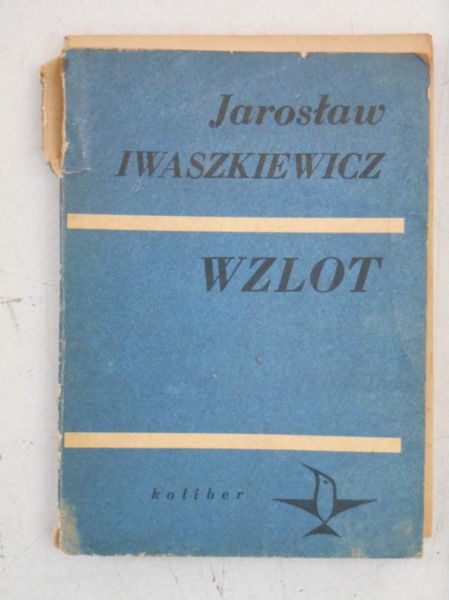 Wzlot