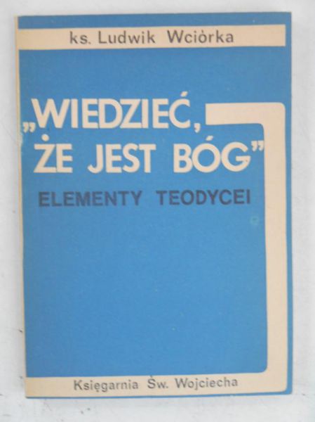 Wiedzieć, że jest Bóg. Elementy teodycei