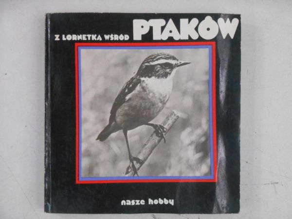 Z lornetką wsród ptaków