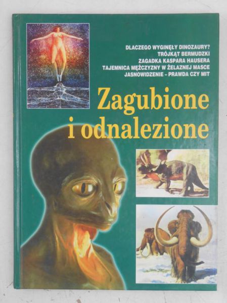 Zagubione i odnalezione