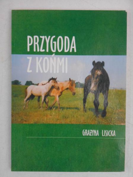 Przygoda z końmi