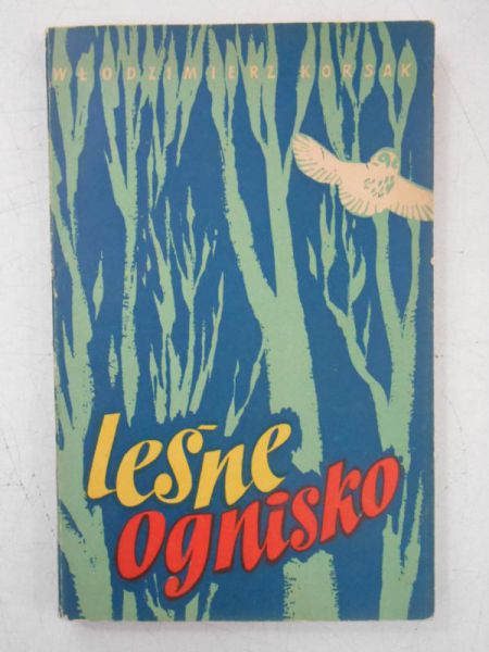 Leśne ognisko