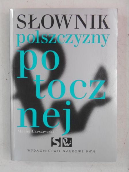 Słownik polszczyzny potocznej