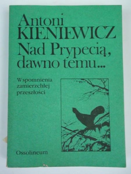 Nad Prypecią, dawno temu...