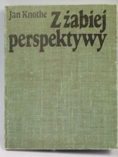 Z żabiej perspektywy
