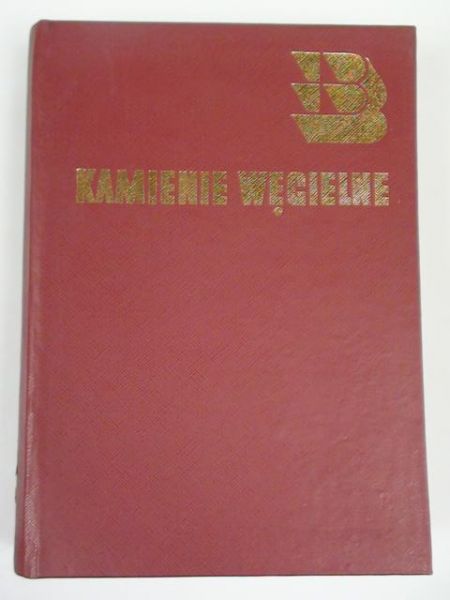 Kamienie węgielne. Rzecz o BUDOSTALU-u
