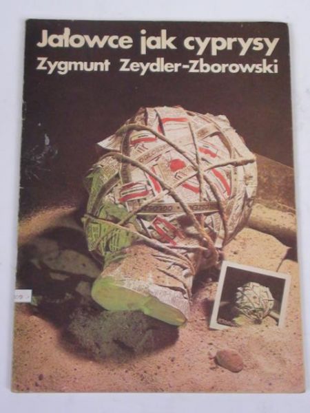 Jałowce jak cyprysy