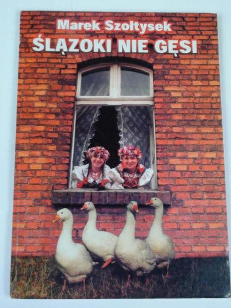 Ślązoki nie gęsi