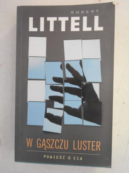 W gąszczu luster
