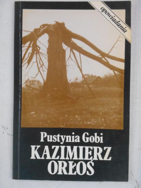 Pustynia Gobi