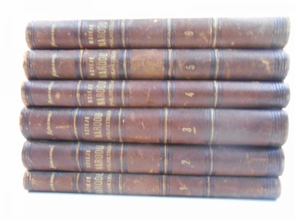 Dzieje Narodu Polskiego, Tom I-VI, 1875 r.