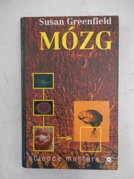 Greenfield Susan - Mózg