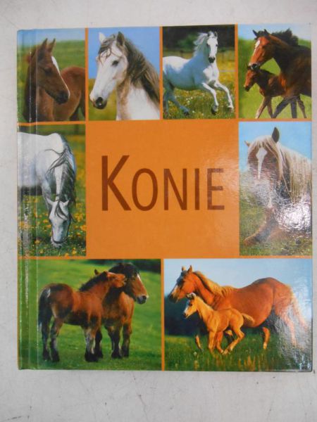 Konie