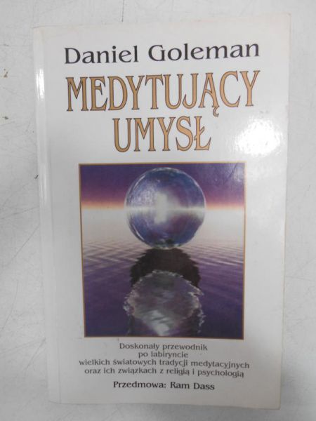 Medytujący umysł