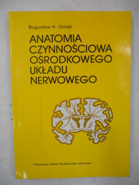 Anatomia czynnościowa ośrodkowego układu nerwowego