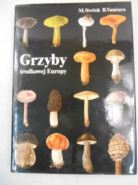 Grzyby środkowej Europy