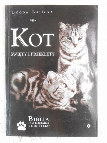 Kot. Święty i przeklęty