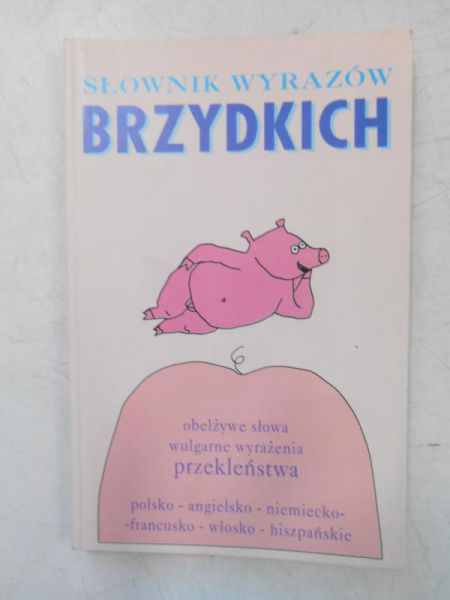 Słownik wyrazów brzydkich