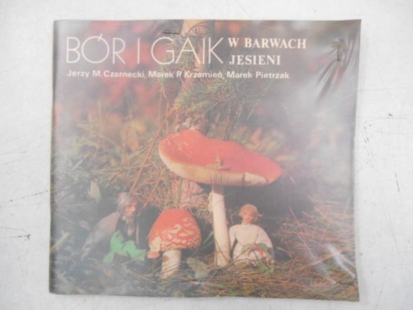 Bór i gaik w barwach jesieni