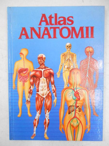 Atlas anatomii