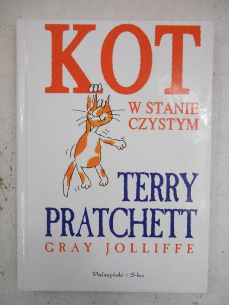 Kot w stanie czystym