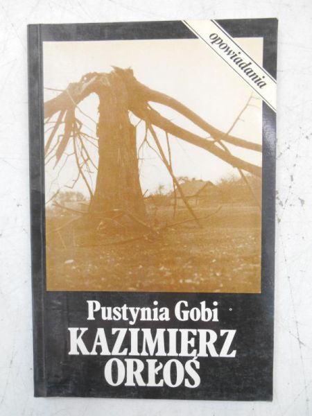 Pustynia Gobi