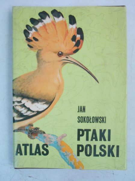 Ptaki Polski