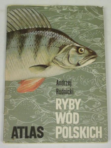 Ryby wód polskich