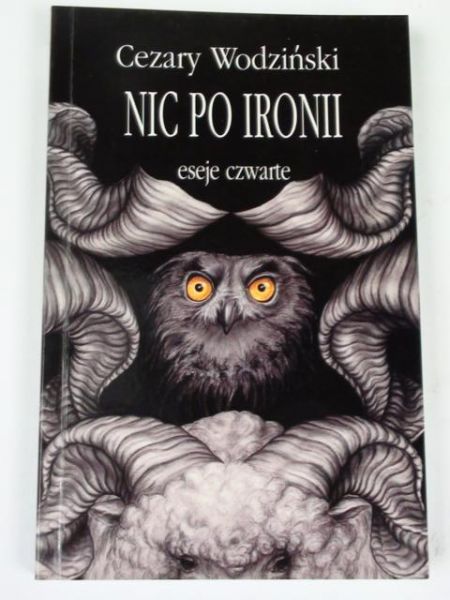 Nic po ironii: eseje czwarte