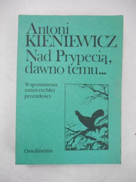 Nad Prypecią, dawno temu...