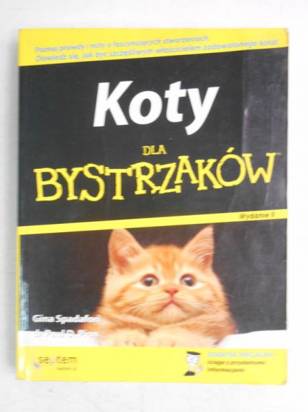 Koty dla bystrzaków