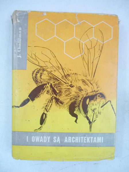 I owady są architektami