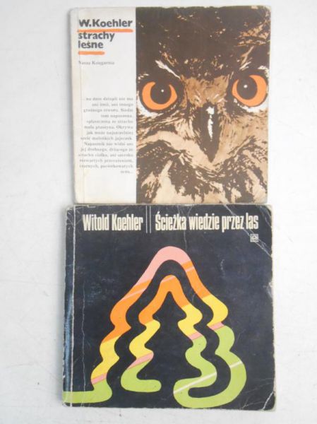 Strachy leśne /  Ścieżka wiedzie przez las