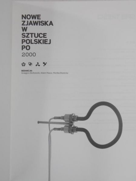 Nowe zjawiska w sztuce polskiej po 2000