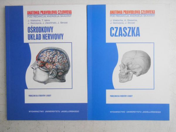 Czaszka / Ośrodkowy układ nerwowy