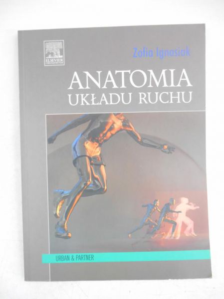 Anatomia układu ruchu