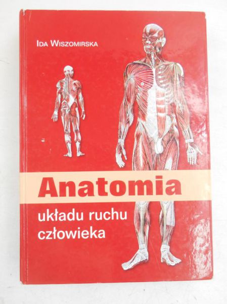 Anatomia układu ruchu człowieka