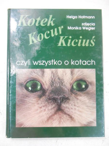 Kotek, kocur, kiciuś, czyli wszystko o kotach