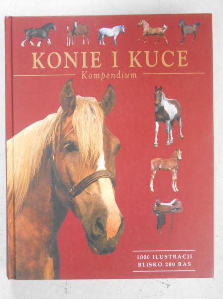 Konie i kuce. Kompendium