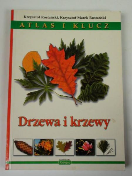 Atlas i klucz. Drzewa i krzewy