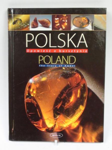 Kosmowska-Ceranowicz Barbara - Polska opowieść o bursztynie
