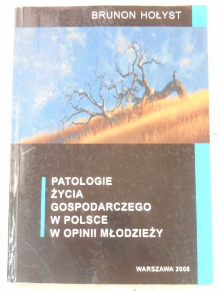 Patologie życia gospodarczego w Polsce w opinii młodzieży