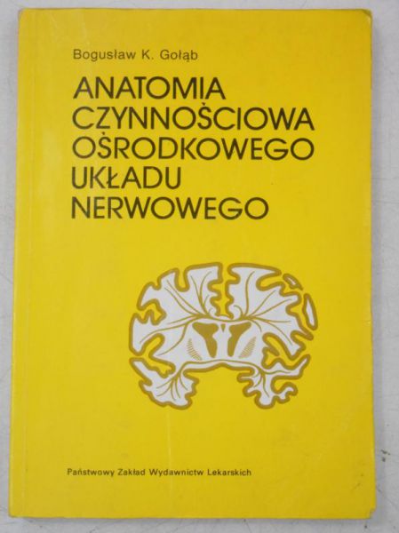 Anatomia czynnościowa ośrodkowego układu nerwowego