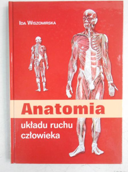 Anatomia układu ruchu człowieka
