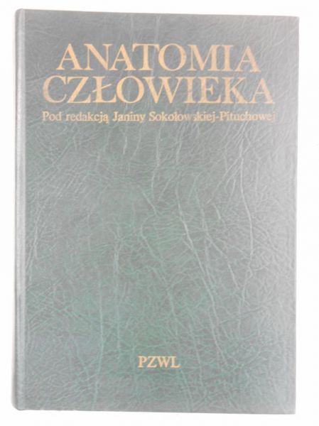 Anatomia człowieka