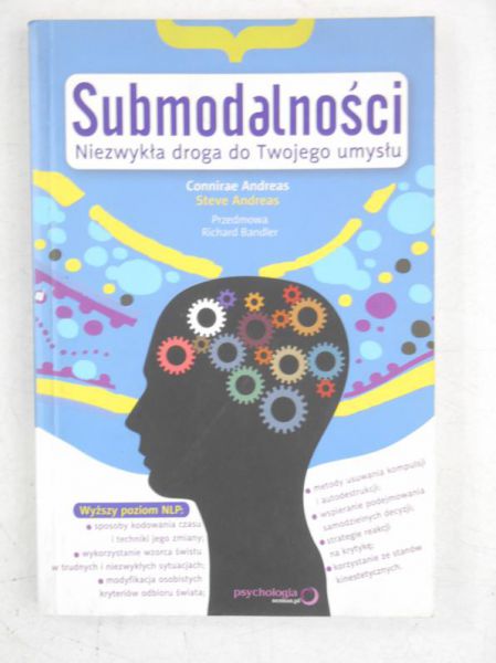 Submodalności. Niezwykła droga do Twojego umysłu