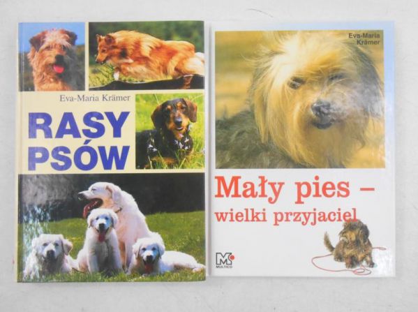 Rasy psów / Mały pies- wielki przyjaciel