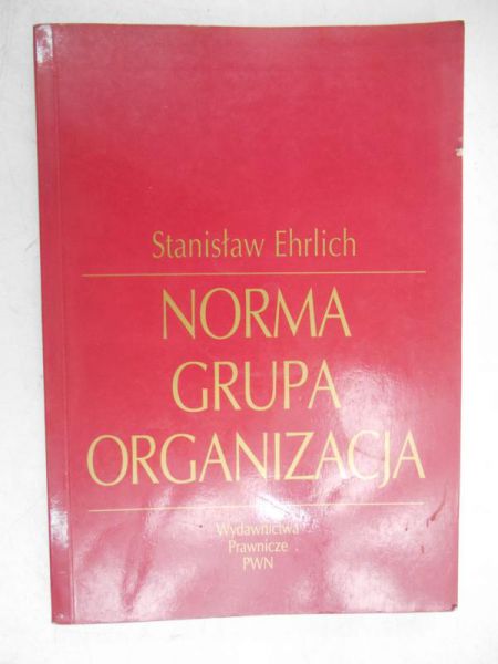 Norma, grupa, organizacja