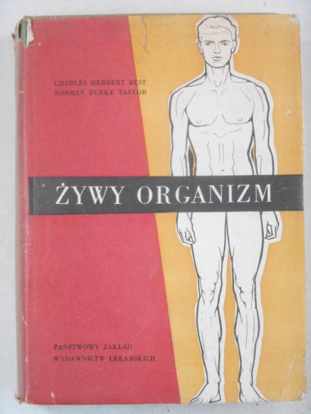 Żywy organizm. Zarys fizjologii człowieka